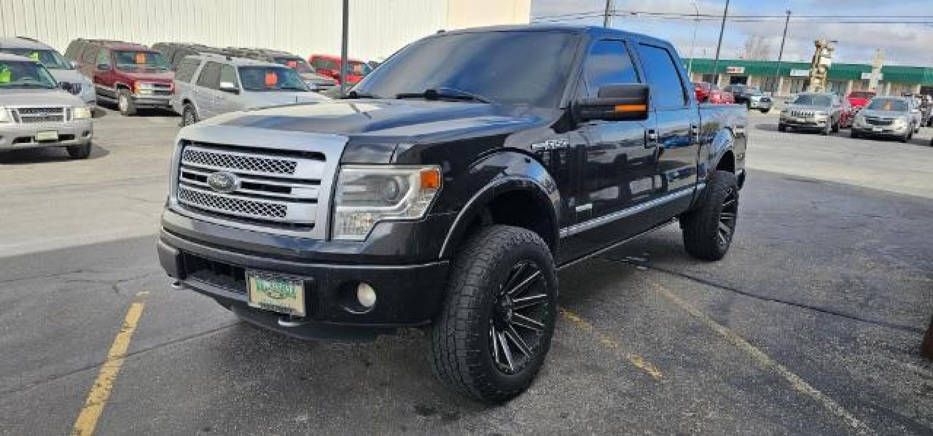 2013 BLACK /BLACK FORD F150 PLATINUM (1FTFW1ET8D1) with an V8 3.5L ECOBOOST engine, AUTOMATIC transmission, located at 1235 N Woodruff Ave., Idaho Falls, 83401, (208) 523-1053, 43.507172, -112.000488 - At Timberline Auto, finding a great deal on your next vehicle is always easy! Our experienced sales staff's goal is to help find you the right vehicle at the right price! Our knowledgeable finance department has options for almost any credit score. We offer extended service contract options to prote - Photo#0