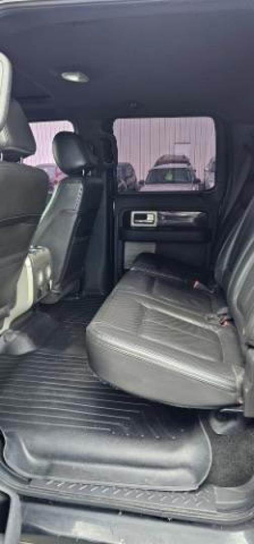 2013 BLACK /BLACK FORD F150 PLATINUM (1FTFW1ET8D1) with an V8 3.5L ECOBOOST engine, AUTOMATIC transmission, located at 1235 N Woodruff Ave., Idaho Falls, 83401, (208) 523-1053, 43.507172, -112.000488 - At Timberline Auto, finding a great deal on your next vehicle is always easy! Our experienced sales staff's goal is to help find you the right vehicle at the right price! Our knowledgeable finance department has options for almost any credit score. We offer extended service contract options to prote - Photo#12