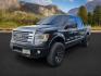 2013 BLACK /BLACK FORD F150 PLATINUM (1FTFW1ET8D1) with an V8 3.5L ECOBOOST engine, AUTOMATIC transmission, located at 1235 N Woodruff Ave., Idaho Falls, 83401, (208) 523-1053, 43.507172, -112.000488 - At Timberline Auto, finding a great deal on your next vehicle is always easy! Our experienced sales staff's goal is to help find you the right vehicle at the right price! Our knowledgeable finance department has options for almost any credit score. We offer extended service contract options to prote - Photo#0