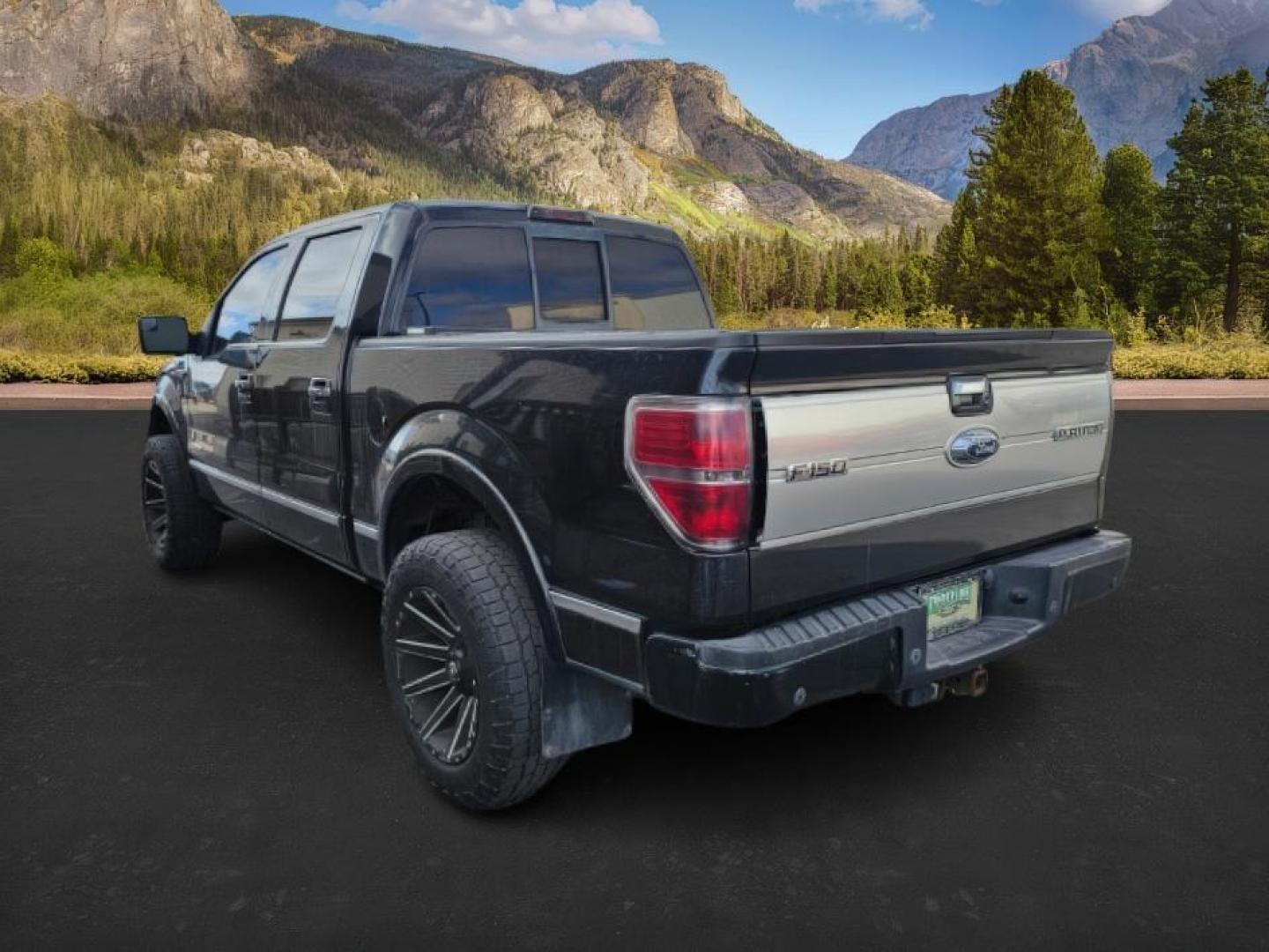 2013 BLACK /BLACK FORD F150 PLATINUM (1FTFW1ET8D1) with an V8 3.5L ECOBOOST engine, AUTOMATIC transmission, located at 1235 N Woodruff Ave., Idaho Falls, 83401, (208) 523-1053, 43.507172, -112.000488 - At Timberline Auto, finding a great deal on your next vehicle is always easy! Our experienced sales staff's goal is to help find you the right vehicle at the right price! Our knowledgeable finance department has options for almost any credit score. We offer extended service contract options to prote - Photo#1