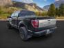 2013 BLACK /BLACK FORD F150 PLATINUM (1FTFW1ET8D1) with an V8 3.5L ECOBOOST engine, AUTOMATIC transmission, located at 1235 N Woodruff Ave., Idaho Falls, 83401, (208) 523-1053, 43.507172, -112.000488 - At Timberline Auto, finding a great deal on your next vehicle is always easy! Our experienced sales staff's goal is to help find you the right vehicle at the right price! Our knowledgeable finance department has options for almost any credit score. We offer extended service contract options to prote - Photo#1