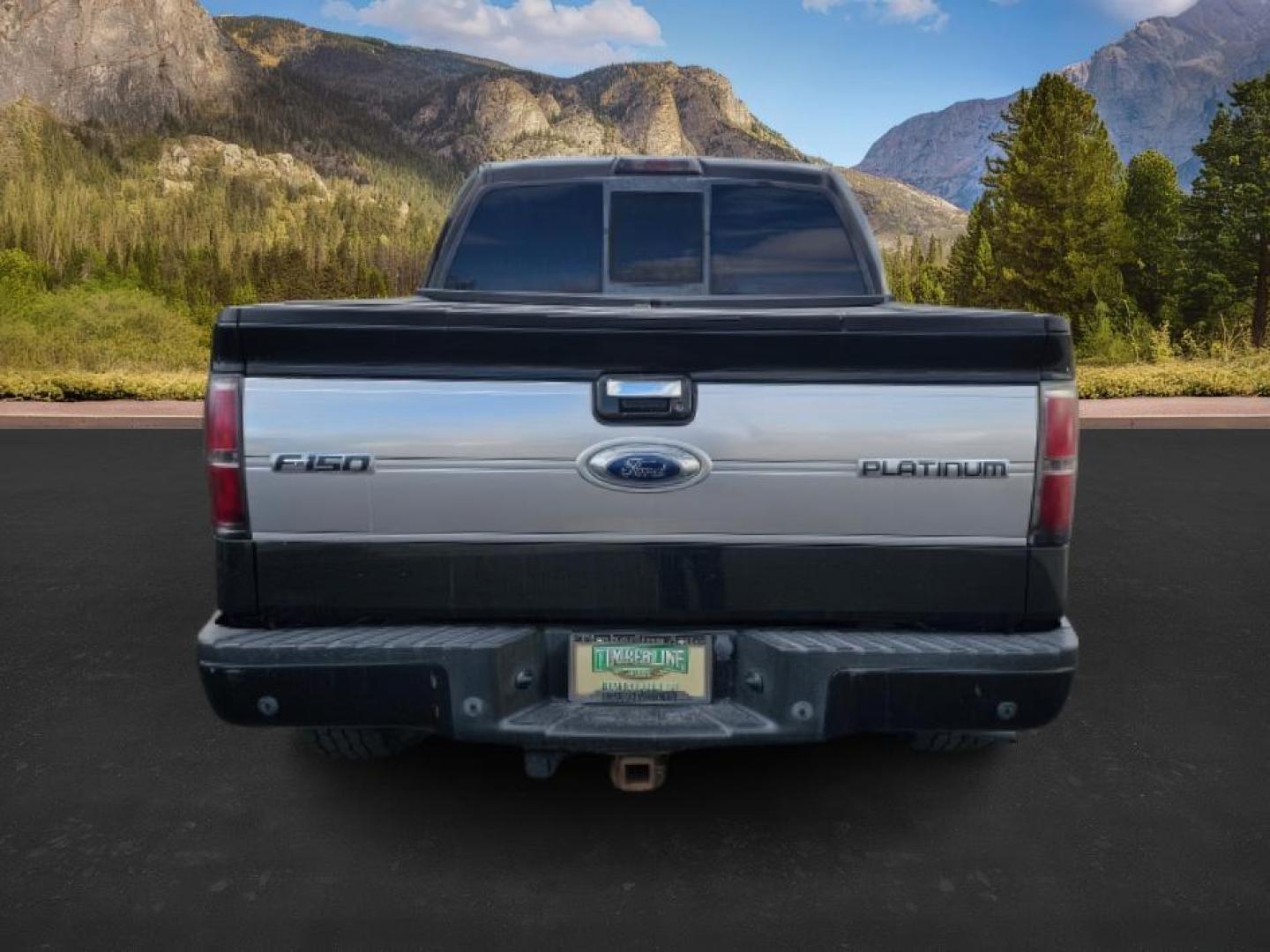 2013 BLACK /BLACK FORD F150 PLATINUM (1FTFW1ET8D1) with an V8 3.5L ECOBOOST engine, AUTOMATIC transmission, located at 1235 N Woodruff Ave., Idaho Falls, 83401, (208) 523-1053, 43.507172, -112.000488 - At Timberline Auto, finding a great deal on your next vehicle is always easy! Our experienced sales staff's goal is to help find you the right vehicle at the right price! Our knowledgeable finance department has options for almost any credit score. We offer extended service contract options to prote - Photo#2