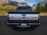 2013 BLACK /BLACK FORD F150 PLATINUM (1FTFW1ET8D1) with an V8 3.5L ECOBOOST engine, AUTOMATIC transmission, located at 1235 N Woodruff Ave., Idaho Falls, 83401, (208) 523-1053, 43.507172, -112.000488 - At Timberline Auto, finding a great deal on your next vehicle is always easy! Our experienced sales staff's goal is to help find you the right vehicle at the right price! Our knowledgeable finance department has options for almost any credit score. We offer extended service contract options to prote - Photo#2