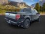 2013 BLACK /BLACK FORD F150 PLATINUM (1FTFW1ET8D1) with an V8 3.5L ECOBOOST engine, AUTOMATIC transmission, located at 1235 N Woodruff Ave., Idaho Falls, 83401, (208) 523-1053, 43.507172, -112.000488 - At Timberline Auto, finding a great deal on your next vehicle is always easy! Our experienced sales staff's goal is to help find you the right vehicle at the right price! Our knowledgeable finance department has options for almost any credit score. We offer extended service contract options to prote - Photo#3