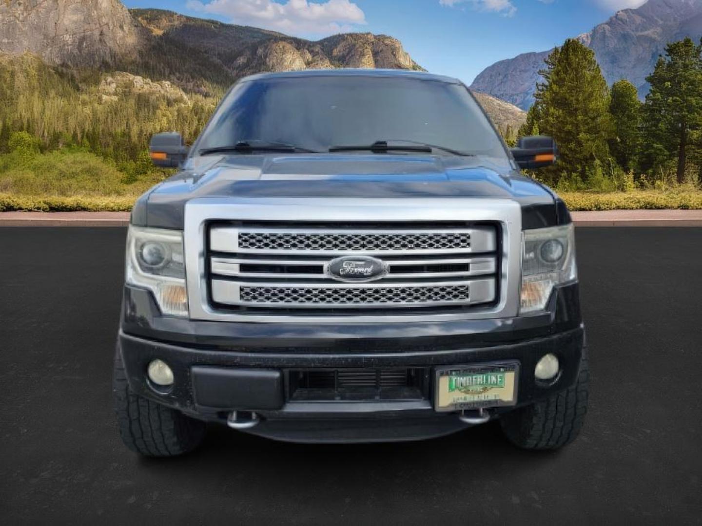 2013 BLACK /BLACK FORD F150 PLATINUM (1FTFW1ET8D1) with an V8 3.5L ECOBOOST engine, AUTOMATIC transmission, located at 1235 N Woodruff Ave., Idaho Falls, 83401, (208) 523-1053, 43.507172, -112.000488 - At Timberline Auto, finding a great deal on your next vehicle is always easy! Our experienced sales staff's goal is to help find you the right vehicle at the right price! Our knowledgeable finance department has options for almost any credit score. We offer extended service contract options to prote - Photo#4