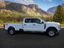 2023 Oxford White /Medium Dark Slate FORD F350 XLT (1FT8W3BN9PE) with an 7.3L V-8 DEVCT variable valve control engine, AUTOMATIC transmission, located at 1235 N Woodruff Ave., Idaho Falls, 83401, (208) 523-1053, 43.507172, -112.000488 - At Timberline Auto, finding a great deal on your next vehicle is always easy! Our experienced sales staff's goal is to help find you the right vehicle at the right price! Our knowledgeable finance department has options for almost any credit score. We offer extended service contract options to prote - Photo#7