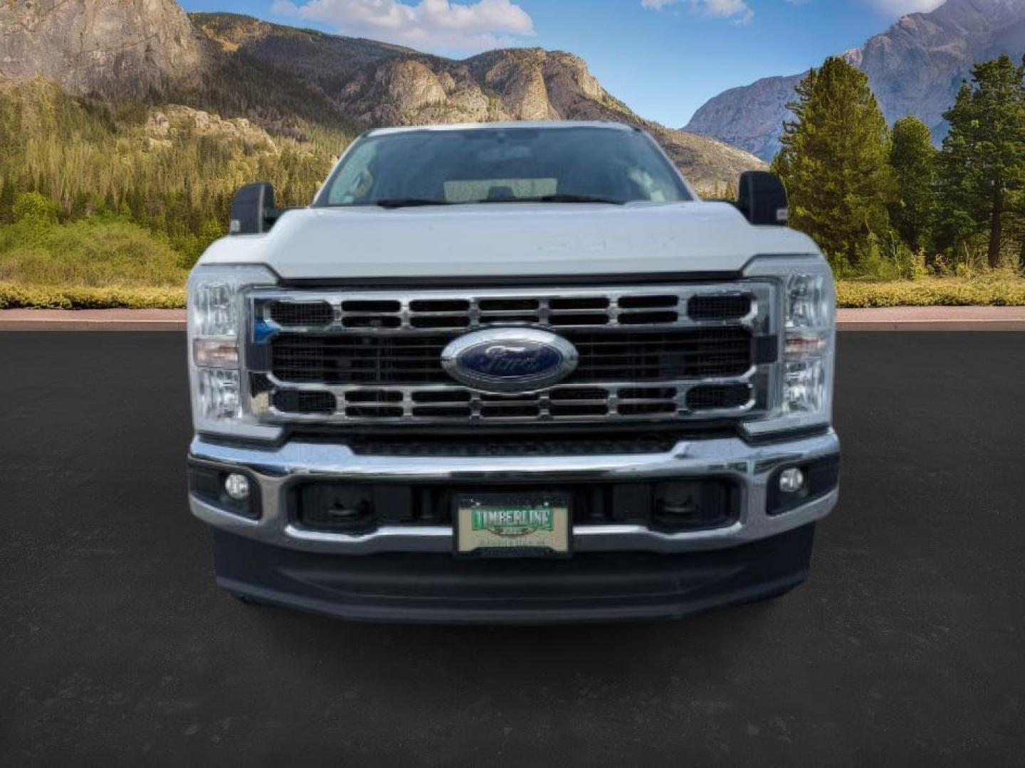 2023 Oxford White /Medium Dark Slate FORD F350 XLT (1FT8W3BN9PE) with an 7.3L V-8 DEVCT variable valve control engine, AUTOMATIC transmission, located at 1235 N Woodruff Ave., Idaho Falls, 83401, (208) 523-1053, 43.507172, -112.000488 - At Timberline Auto, finding a great deal on your next vehicle is always easy! Our experienced sales staff's goal is to help find you the right vehicle at the right price! Our knowledgeable finance department has options for almost any credit score. We offer extended service contract options to prote - Photo#9