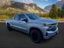 2020 SILVER /BLACK Chevrolet Silverado 1500 4WD Crew Cab Standard Bed LT (1GCUYDED5LZ) with an 5.3 engine, AUTO transmission, located at 1235 N Woodruff Ave., Idaho Falls, 83401, (208) 523-1053, 43.507172, -112.000488 - Photo#6
