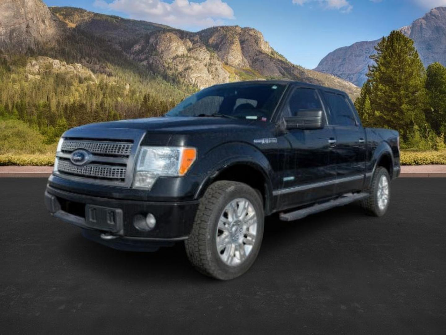 2012 BLACK /LEATHER FORD F150 PLATINUM (1FTFW1ET6CF) with an 3.5 ECOBOOST engine, AUTOMATIC transmission, located at 1235 N Woodruff Ave., Idaho Falls, 83401, (208) 523-1053, 43.507172, -112.000488 - At Timberline Auto, finding a great deal on your next vehicle is always easy! Our experienced sales staff's goal is to help find you the right vehicle at the right price! Our knowledgeable finance department has options for almost any credit score. We offer extended service contract options to prote - Photo#0