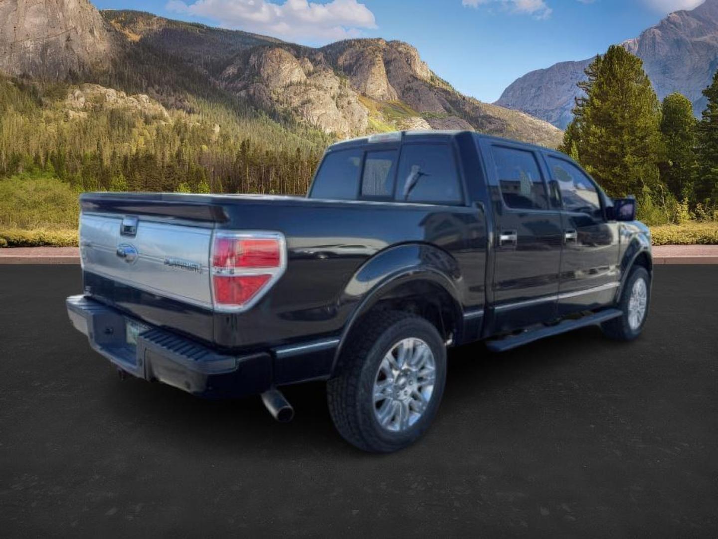 2012 BLACK /LEATHER FORD F150 PLATINUM (1FTFW1ET6CF) with an 3.5 ECOBOOST engine, AUTOMATIC transmission, located at 1235 N Woodruff Ave., Idaho Falls, 83401, (208) 523-1053, 43.507172, -112.000488 - At Timberline Auto, finding a great deal on your next vehicle is always easy! Our experienced sales staff's goal is to help find you the right vehicle at the right price! Our knowledgeable finance department has options for almost any credit score. We offer extended service contract options to prote - Photo#4
