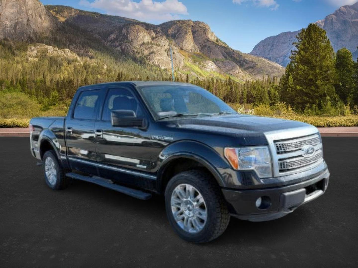 2012 BLACK /LEATHER FORD F150 PLATINUM (1FTFW1ET6CF) with an 3.5 ECOBOOST engine, AUTOMATIC transmission, located at 1235 N Woodruff Ave., Idaho Falls, 83401, (208) 523-1053, 43.507172, -112.000488 - At Timberline Auto, finding a great deal on your next vehicle is always easy! Our experienced sales staff's goal is to help find you the right vehicle at the right price! Our knowledgeable finance department has options for almost any credit score. We offer extended service contract options to prote - Photo#5