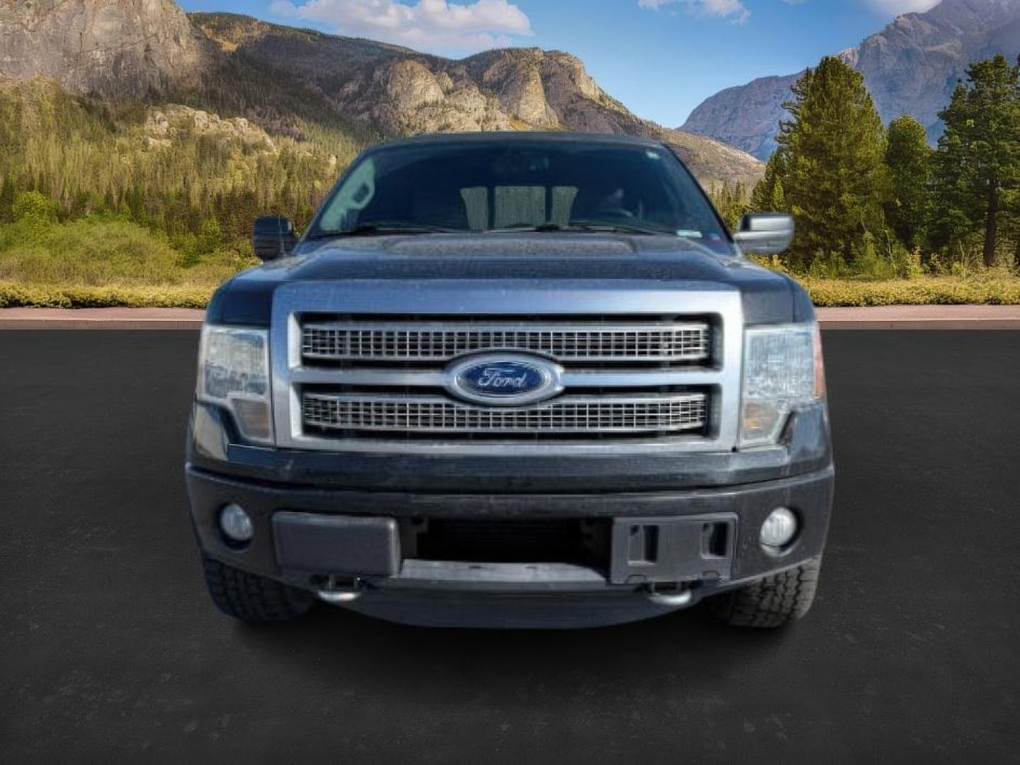 2012 BLACK /LEATHER FORD F150 PLATINUM (1FTFW1ET6CF) with an 3.5 ECOBOOST engine, AUTOMATIC transmission, located at 1235 N Woodruff Ave., Idaho Falls, 83401, (208) 523-1053, 43.507172, -112.000488 - At Timberline Auto, finding a great deal on your next vehicle is always easy! Our experienced sales staff's goal is to help find you the right vehicle at the right price! Our knowledgeable finance department has options for almost any credit score. We offer extended service contract options to prote - Photo#6