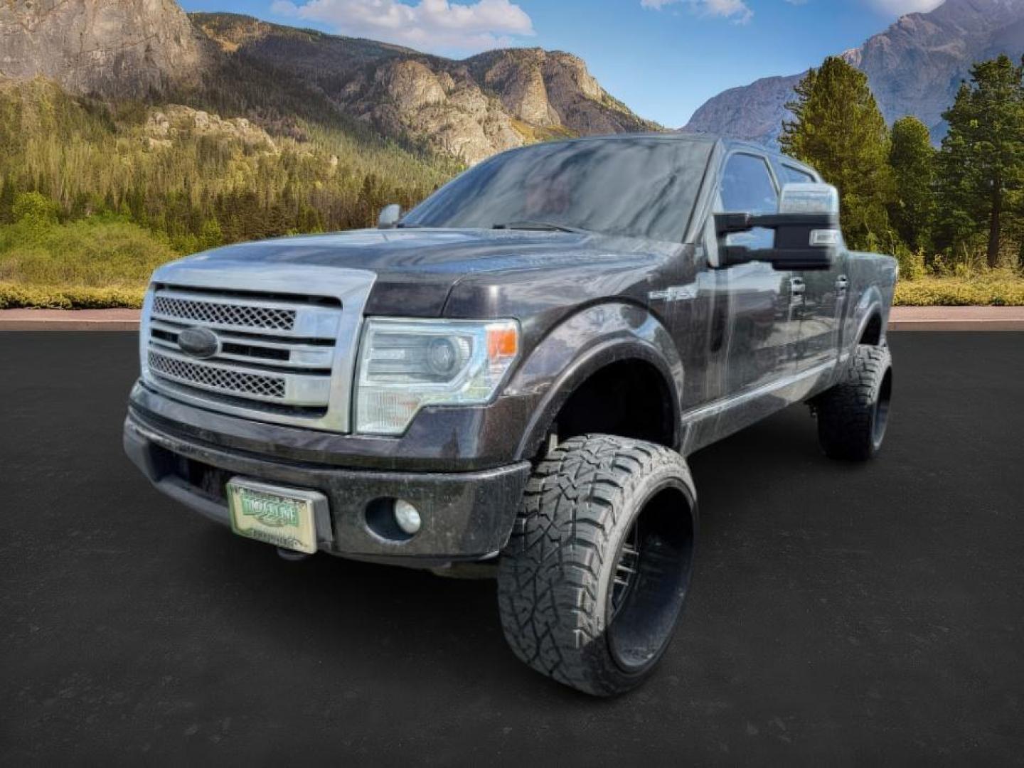 2014 BLACK /BLACK FORD F-150 PLATINUM (1FTFW1ET7EF) with an 5.3 engine, AUTO transmission, located at 1235 N Woodruff Ave., Idaho Falls, 83401, (208) 523-1053, 43.507172, -112.000488 - At Timberline Auto, finding a great deal on your next vehicle is always easy! Our experienced sales staff's goal is to help find you the right vehicle at the right price! Our knowledgeable finance department has options for almost any credit score. We offer extended service contract options to prote - Photo#0