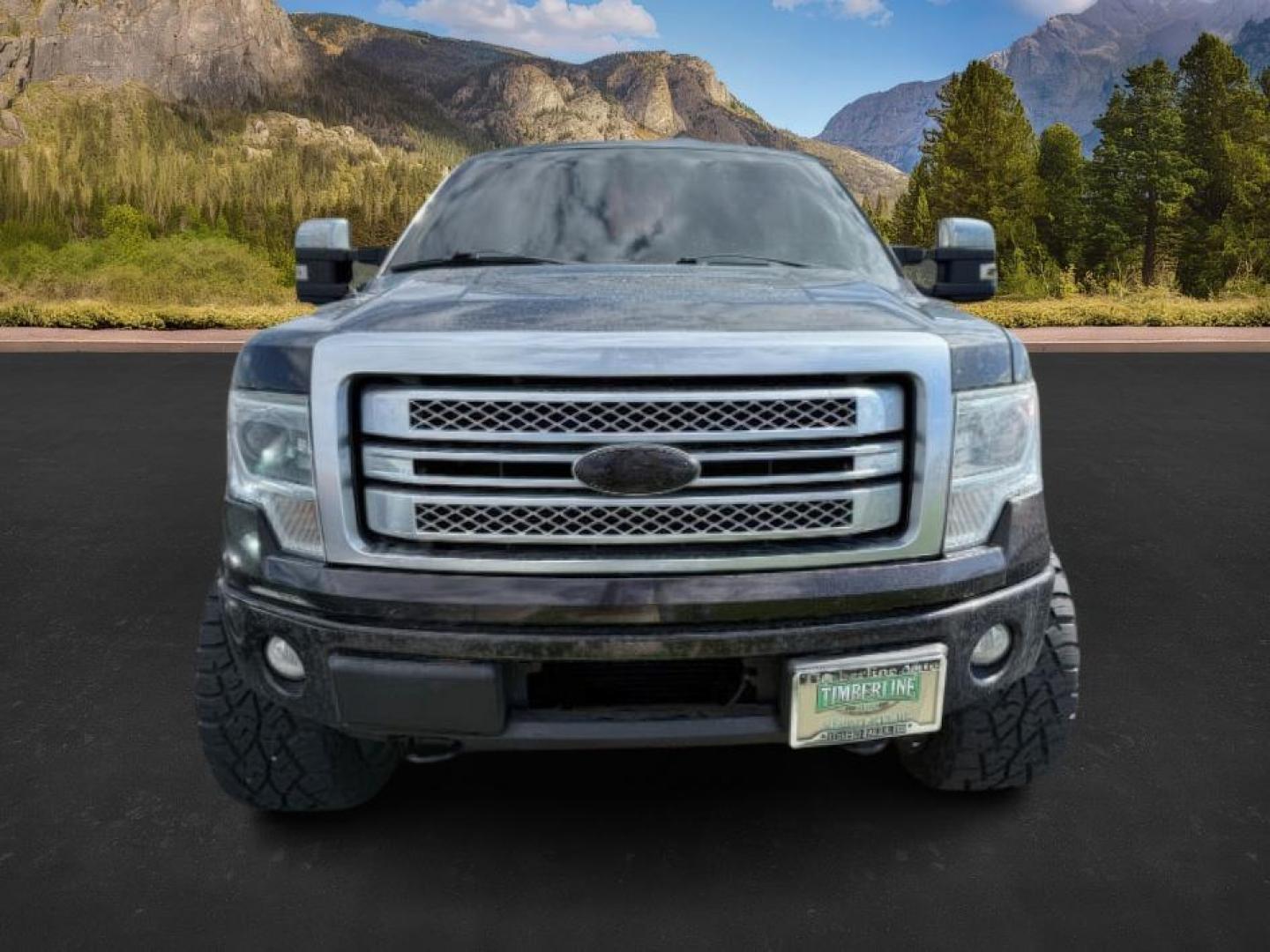 2014 BLACK /BLACK FORD F-150 PLATINUM (1FTFW1ET7EF) with an 5.3 engine, AUTO transmission, located at 1235 N Woodruff Ave., Idaho Falls, 83401, (208) 523-1053, 43.507172, -112.000488 - At Timberline Auto, finding a great deal on your next vehicle is always easy! Our experienced sales staff's goal is to help find you the right vehicle at the right price! Our knowledgeable finance department has options for almost any credit score. We offer extended service contract options to prote - Photo#7