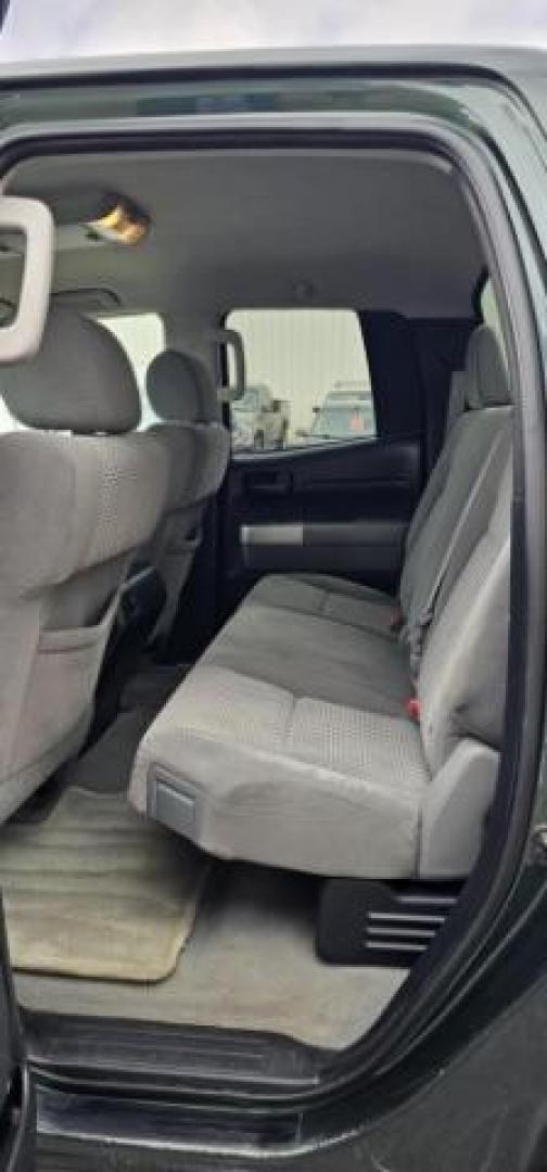 2008 GREEN /Sand Beige Toyota Tundra Base 5.7L V8 | SR5 5.7L V8 (5TFBV541X8X) with an I-FORCE 5.7L V-8 DOHC engine, AUTOMATIC transmission, located at 1235 N Woodruff Ave., Idaho Falls, 83401, (208) 523-1053, 43.507172, -112.000488 - At Timberline Auto, finding a great deal on your next vehicle is always easy! Our experienced sales staff's goal is to help find you the right vehicle at the right price! Our knowledgeable finance department has options for almost any credit score. We offer extended service contract options to prote - Photo#12