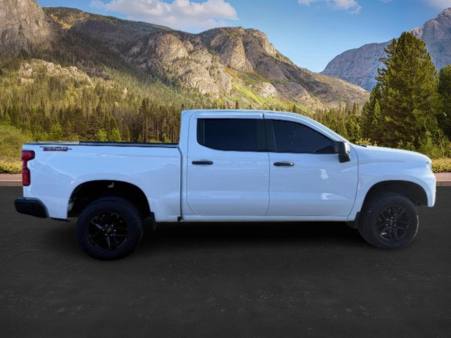 2020 WHITE /CLOTH Chevrolet Silverado 1500 CLOTH (1GCPYCEF0LZ) with an 5.3 engine, AUTOMATIC transmission, located at 1235 N Woodruff Ave., Idaho Falls, 83401, (208) 523-1053, 43.507172, -112.000488 - At Timberline Auto, finding a great deal on your next vehicle is always easy! Our experienced sales staff's goal is to help find you the right vehicle at the right price! Our knowledgeable finance department has options for almost any credit score. We offer extended service contract options to prote - Photo#4