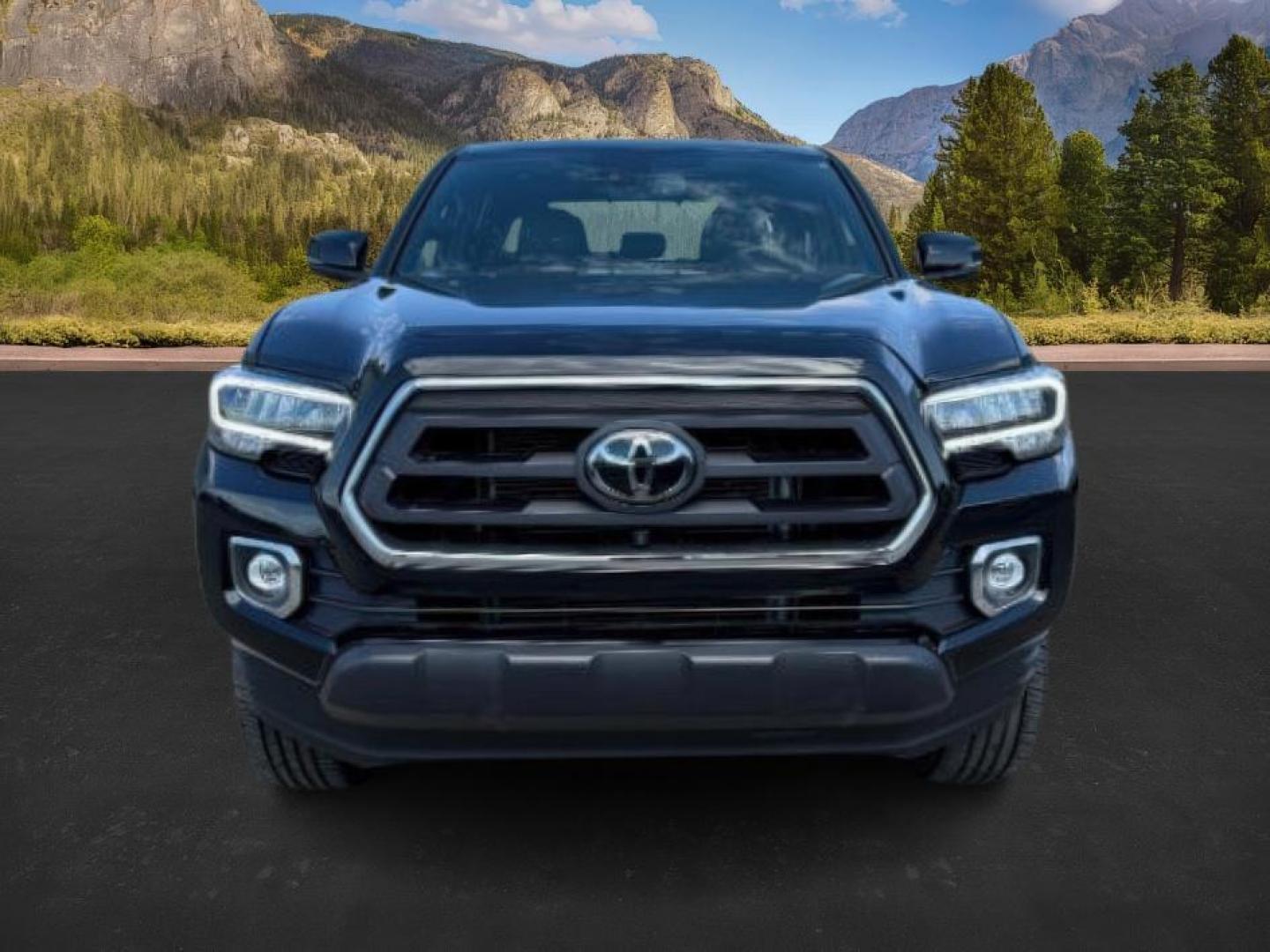 2022 Midnight Black Metallic /Black/Black Toyota Tacoma Limited (3TYGZ5AN0NT) with an 3.5L V-6 port/direct injection engine, AUTOMATIC transmission, located at 1235 N Woodruff Ave., Idaho Falls, 83401, (208) 523-1053, 43.507172, -112.000488 - At Timberline Auto, finding a great deal on your next vehicle is always easy! Our experienced sales staff's goal is to help find you the right vehicle at the right price! Our knowledgeable finance department has options for almost any credit score. We offer extended service contract options to prote - Photo#8