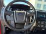 2013 Race Red /Steel Gray Ford F-150 XLT (1FTFW1EF1DF) with an 5L V-8 DOHC engine, AUTOMATIC transmission, located at 1235 N Woodruff Ave., Idaho Falls, 83401, (208) 523-1053, 43.507172, -112.000488 - At Timberline Auto, finding a great deal on your next vehicle is always easy! Our experienced sales staff's goal is to help find you the right vehicle at the right price! Our knowledgeable finance department has options for almost any credit score. We offer extended service contract options to prote - Photo#10
