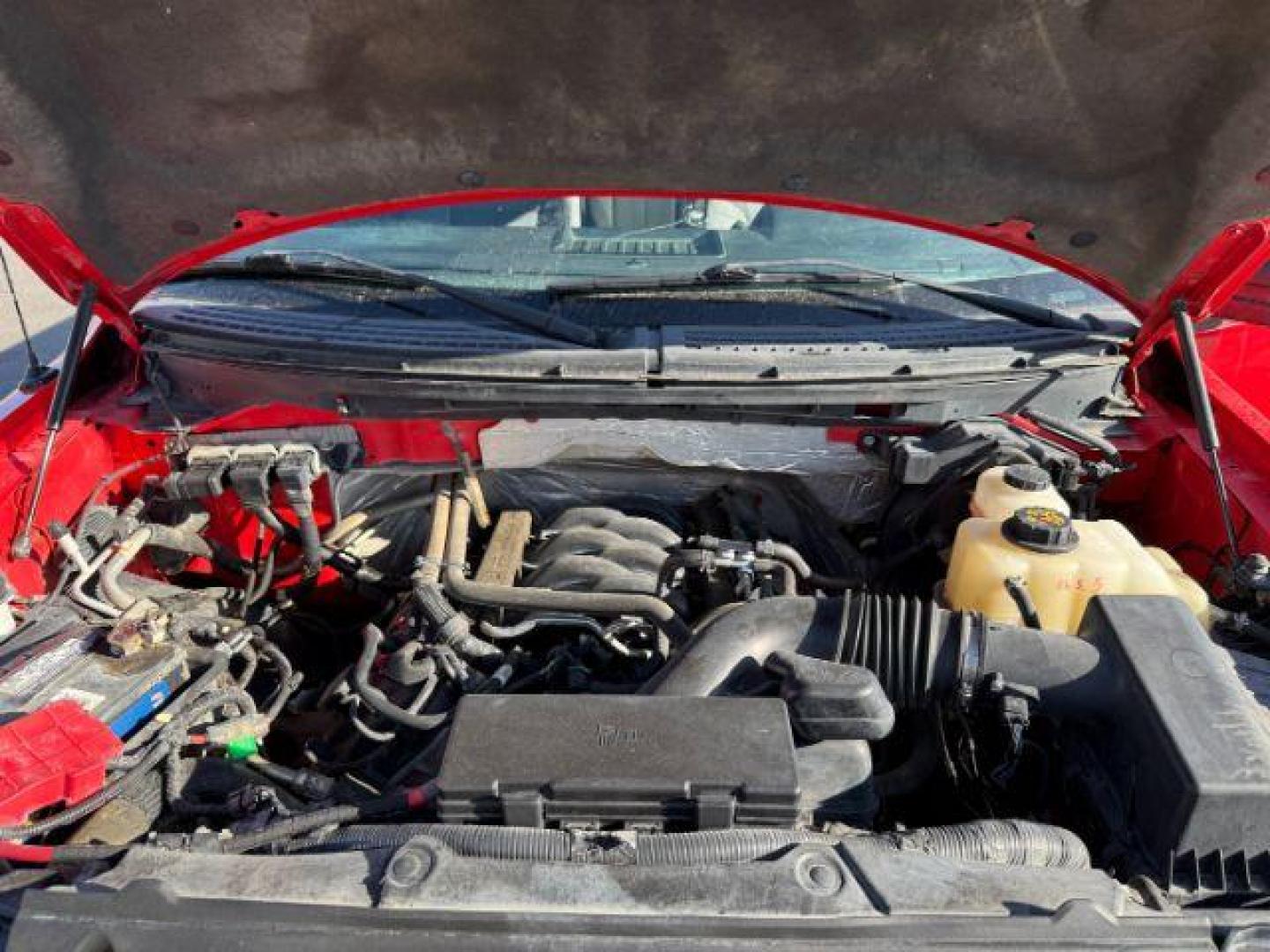 2013 Race Red /Steel Gray Ford F-150 XLT (1FTFW1EF1DF) with an 5L V-8 DOHC engine, AUTOMATIC transmission, located at 1235 N Woodruff Ave., Idaho Falls, 83401, (208) 523-1053, 43.507172, -112.000488 - At Timberline Auto, finding a great deal on your next vehicle is always easy! Our experienced sales staff's goal is to help find you the right vehicle at the right price! Our knowledgeable finance department has options for almost any credit score. We offer extended service contract options to prote - Photo#15