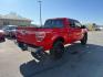 2013 Race Red /Steel Gray Ford F-150 XLT (1FTFW1EF1DF) with an 5L V-8 DOHC engine, AUTOMATIC transmission, located at 1235 N Woodruff Ave., Idaho Falls, 83401, (208) 523-1053, 43.507172, -112.000488 - At Timberline Auto, finding a great deal on your next vehicle is always easy! Our experienced sales staff's goal is to help find you the right vehicle at the right price! Our knowledgeable finance department has options for almost any credit score. We offer extended service contract options to prote - Photo#5