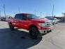 2013 Race Red /Steel Gray Ford F-150 XLT (1FTFW1EF1DF) with an 5L V-8 DOHC engine, AUTOMATIC transmission, located at 1235 N Woodruff Ave., Idaho Falls, 83401, (208) 523-1053, 43.507172, -112.000488 - At Timberline Auto, finding a great deal on your next vehicle is always easy! Our experienced sales staff's goal is to help find you the right vehicle at the right price! Our knowledgeable finance department has options for almost any credit score. We offer extended service contract options to prote - Photo#6