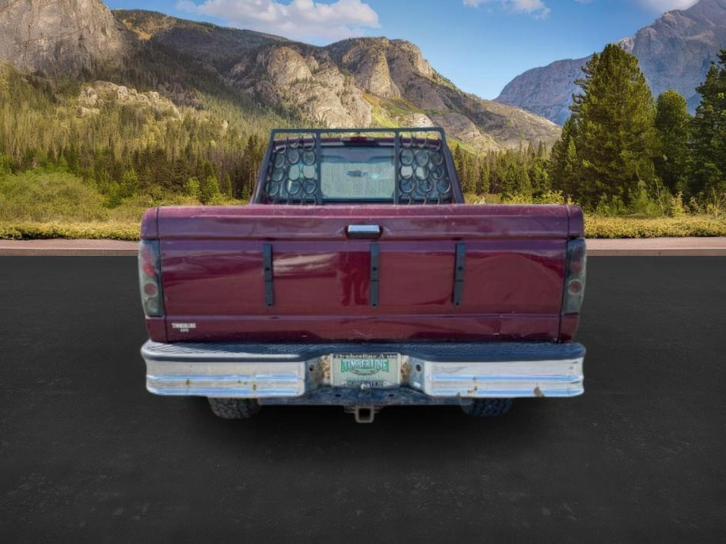 1996 RED /CLOTH Ford F-150 XLT (1FTEX14H6TK) with an 5.4 TRITON engine, AUTOMATIC transmission, located at 1235 N Woodruff Ave., Idaho Falls, 83401, (208) 523-1053, 43.507172, -112.000488 - At Timberline Auto, finding a great deal on your next vehicle is always easy! Our experienced sales staff's goal is to help find you the right vehicle at the right price! Our knowledgeable finance department has options for almost any credit score. We offer extended service contract options to prote - Photo#3