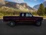 1996 RED /CLOTH Ford F-150 XLT (1FTEX14H6TK) with an 5.4 TRITON engine, AUTOMATIC transmission, located at 1235 N Woodruff Ave., Idaho Falls, 83401, (208) 523-1053, 43.507172, -112.000488 - At Timberline Auto, finding a great deal on your next vehicle is always easy! Our experienced sales staff's goal is to help find you the right vehicle at the right price! Our knowledgeable finance department has options for almost any credit score. We offer extended service contract options to prote - Photo#5