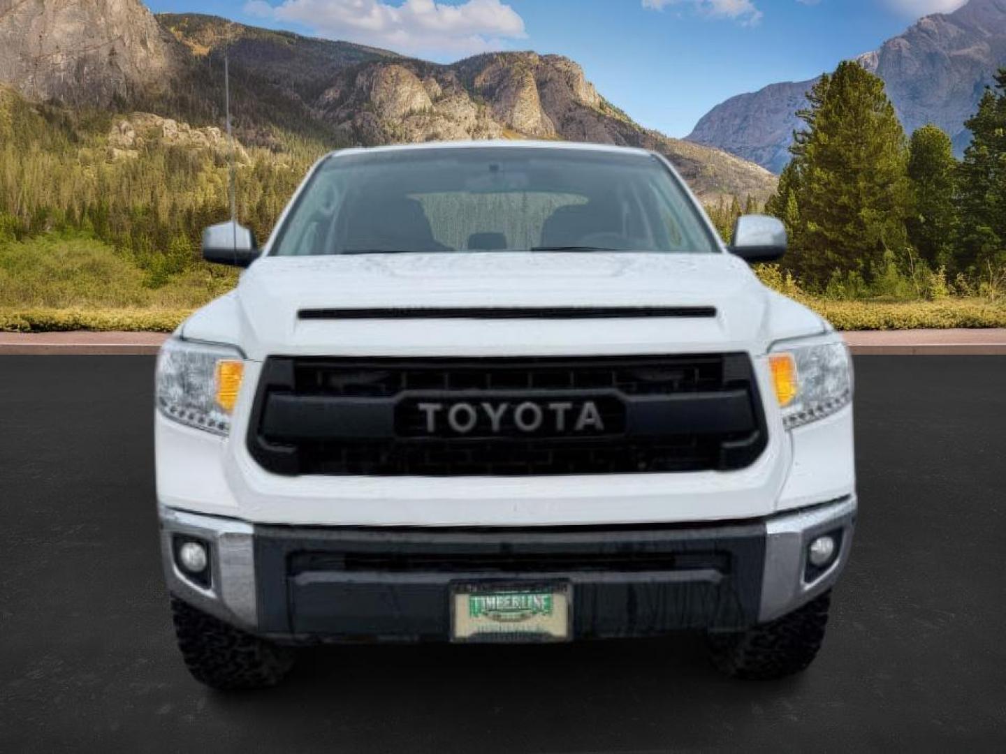 2016 Super White /Black Toyota Tundra Limited 5.7L V8 (5TFHY5F14GX) with an I-FORCE 5.7L V-8 DOHC engine, AUTOMATIC transmission, located at 1235 N Woodruff Ave., Idaho Falls, 83401, (208) 523-1053, 43.507172, -112.000488 - At Timberline Auto, finding a great deal on your next vehicle is always easy! Our experienced sales staff's goal is to help find you the right vehicle at the right price! Our knowledgeable finance department has options for almost any credit score. We offer extended service contract options to prote - Photo#9