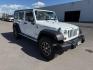 2012 Bright White Clearcoat /Black Jeep Wrangler Unlimited Rubicon (1C4BJWFG8CL) with an 3.6L V-6 DOHC engine, AUTOMATIC transmission, located at 1235 N Woodruff Ave., Idaho Falls, 83401, (208) 523-1053, 43.507172, -112.000488 - At Timberline Auto, finding a great deal on your next vehicle is always easy! Our experienced sales staff's goal is to help find you the right vehicle at the right price! Our knowledgeable finance department has options for almost any credit score. We offer extended service contract options to prote - Photo#7