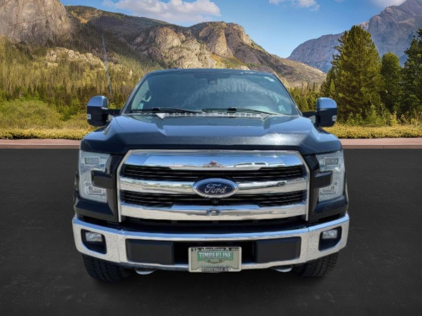 2015 Tuxedo Black Metallic /Black Ford F-150 (1FTEW1EG9FF) with an EcoBoost 35L V-6 gasoline direct injection engine, Automatic transmission, located at 1175 N Woodruff Ave, Idaho Falls, ID, 83401, 43.506901, -111.999657 - At Timberline Auto, finding a great deal on your next vehicle is always easy! Our experienced sales staff's goal is to help find you the right vehicle at the right price! Our knowledgeable finance department has options for almost any credit score. We offer extended service contract options to prote - Photo#9