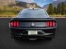 2020 Shadow Black /Show Stopper Red Ford Mustang (1FA6P8TD2L5) with an EcoBoost 23L I-4 gasoline direct injection engine, Manual transmission, located at 1175 N Woodruff Ave, Idaho Falls, ID, 83401, 43.506901, -111.999657 - At Timberline Auto, finding a great deal on your next vehicle is always easy! Our experienced sales staff's goal is to help find you the right vehicle at the right price! Our knowledgeable finance department has options for almost any credit score. We offer extended service contract options to prote - Photo#3