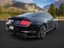 2020 Shadow Black /Show Stopper Red Ford Mustang (1FA6P8TD2L5) with an EcoBoost 23L I-4 gasoline direct injection engine, Manual transmission, located at 1175 N Woodruff Ave, Idaho Falls, ID, 83401, 43.506901, -111.999657 - At Timberline Auto, finding a great deal on your next vehicle is always easy! Our experienced sales staff's goal is to help find you the right vehicle at the right price! Our knowledgeable finance department has options for almost any credit score. We offer extended service contract options to prote - Photo#4