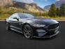 2020 Shadow Black /Show Stopper Red Ford Mustang (1FA6P8TD2L5) with an EcoBoost 23L I-4 gasoline direct injection engine, Manual transmission, located at 1175 N Woodruff Ave, Idaho Falls, ID, 83401, 43.506901, -111.999657 - At Timberline Auto, finding a great deal on your next vehicle is always easy! Our experienced sales staff's goal is to help find you the right vehicle at the right price! Our knowledgeable finance department has options for almost any credit score. We offer extended service contract options to prote - Photo#6