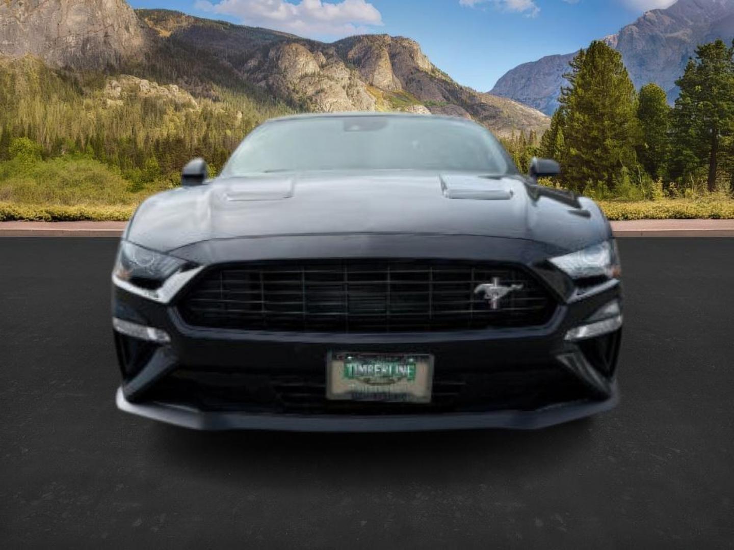 2020 Shadow Black /Show Stopper Red Ford Mustang (1FA6P8TD2L5) with an EcoBoost 23L I-4 gasoline direct injection engine, Manual transmission, located at 1175 N Woodruff Ave, Idaho Falls, ID, 83401, 43.506901, -111.999657 - At Timberline Auto, finding a great deal on your next vehicle is always easy! Our experienced sales staff's goal is to help find you the right vehicle at the right price! Our knowledgeable finance department has options for almost any credit score. We offer extended service contract options to prote - Photo#7