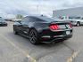 2020 Shadow Black /Show Stopper Red Ford Mustang EcoBoost Premium Fastback (1FA6P8TD2L5) with an EcoBoost 2.3L I-4 gasoline direct injection engine, MANUAL transmission, located at 1235 N Woodruff Ave., Idaho Falls, 83401, (208) 523-1053, 43.507172, -112.000488 - At Timberline Auto, finding a great deal on your next vehicle is always easy! Our experienced sales staff's goal is to help find you the right vehicle at the right price! Our knowledgeable finance department has options for almost any credit score. We offer extended service contract options to prote - Photo#2
