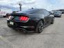 2020 Shadow Black /Show Stopper Red Ford Mustang EcoBoost Premium Fastback (1FA6P8TD2L5) with an EcoBoost 2.3L I-4 gasoline direct injection engine, MANUAL transmission, located at 1235 N Woodruff Ave., Idaho Falls, 83401, (208) 523-1053, 43.507172, -112.000488 - At Timberline Auto, finding a great deal on your next vehicle is always easy! Our experienced sales staff's goal is to help find you the right vehicle at the right price! Our knowledgeable finance department has options for almost any credit score. We offer extended service contract options to prote - Photo#4