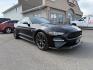 2020 Shadow Black /Show Stopper Red Ford Mustang EcoBoost Premium Fastback (1FA6P8TD2L5) with an EcoBoost 2.3L I-4 gasoline direct injection engine, MANUAL transmission, located at 1235 N Woodruff Ave., Idaho Falls, 83401, (208) 523-1053, 43.507172, -112.000488 - At Timberline Auto, finding a great deal on your next vehicle is always easy! Our experienced sales staff's goal is to help find you the right vehicle at the right price! Our knowledgeable finance department has options for almost any credit score. We offer extended service contract options to prote - Photo#6