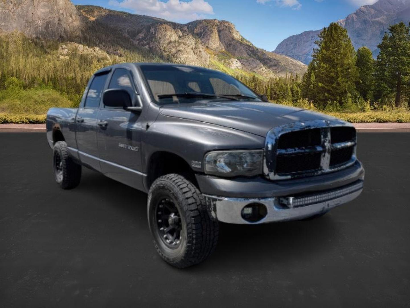 2004 GRAY /Dark Slate Gray Dodge Ram 1500 (1D7HU18D44J) with an HEMI Magnum 57L V-8 regular unleaded engine, Automatic transmission, located at 1175 N Woodruff Ave, Idaho Falls, ID, 83401, 43.506901, -111.999657 - At Timberline Auto, finding a great deal on your next vehicle is always easy! Our experienced sales staff's goal is to help find you the right vehicle at the right price! Our knowledgeable finance department has options for almost any credit score. We offer extended service contract options to prote - Photo#6