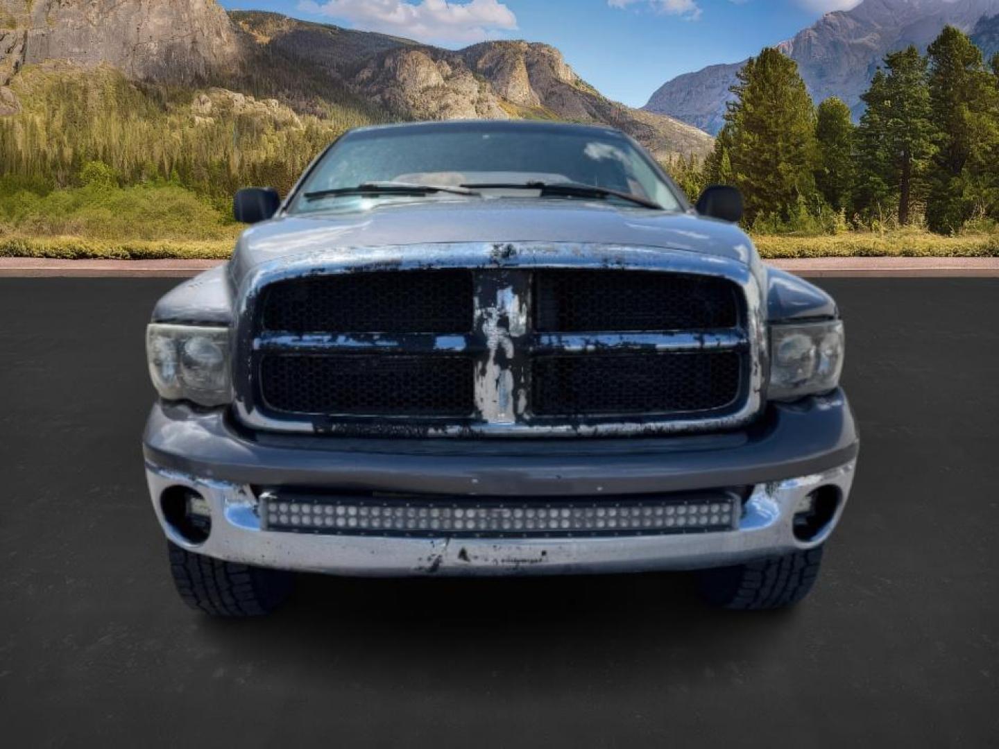 2004 GRAY /Dark Slate Gray Dodge Ram 1500 (1D7HU18D44J) with an HEMI Magnum 57L V-8 regular unleaded engine, Automatic transmission, located at 1175 N Woodruff Ave, Idaho Falls, ID, 83401, 43.506901, -111.999657 - At Timberline Auto, finding a great deal on your next vehicle is always easy! Our experienced sales staff's goal is to help find you the right vehicle at the right price! Our knowledgeable finance department has options for almost any credit score. We offer extended service contract options to prote - Photo#7