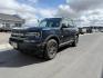 2023 BLUE /Ebony Ford Bronco Sport Big Bend (3FMCR9B64PR) with an EcoBoost 1.5L I-3 port/direct injection engine, AUTOMATIC transmission, located at 1235 N Woodruff Ave., Idaho Falls, 83401, (208) 523-1053, 43.507172, -112.000488 - At Timberline Auto, finding a great deal on your next vehicle is always easy! Our experienced sales staff's goal is to help find you the right vehicle at the right price! Our knowledgeable finance department has options for almost any credit score. We offer extended service contract options to prote - Photo#0