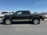 2014 BLACK /LEATHER FORD F150 PLATINUM (1FTFW1ETDEF) with an 3.5 engine, AUTOMATIC transmission, located at 1235 N Woodruff Ave., Idaho Falls, 83401, (208) 523-1053, 43.507172, -112.000488 - At Timberline Auto, finding a great deal on your next vehicle is always easy! Our experienced sales staff's goal is to help find you the right vehicle at the right price! Our knowledgeable finance department has options for almost any credit score. We offer extended service contract options to prote - Photo#0