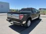 2014 BLACK /LEATHER FORD F150 PLATINUM (1FTFW1ETDEF) with an 3.5 engine, AUTOMATIC transmission, located at 1235 N Woodruff Ave., Idaho Falls, 83401, (208) 523-1053, 43.507172, -112.000488 - At Timberline Auto, finding a great deal on your next vehicle is always easy! Our experienced sales staff's goal is to help find you the right vehicle at the right price! Our knowledgeable finance department has options for almost any credit score. We offer extended service contract options to prote - Photo#27