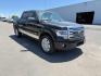 2014 BLACK /LEATHER FORD F150 PLATINUM (1FTFW1ETDEF) with an 3.5 engine, AUTOMATIC transmission, located at 1235 N Woodruff Ave., Idaho Falls, 83401, (208) 523-1053, 43.507172, -112.000488 - At Timberline Auto, finding a great deal on your next vehicle is always easy! Our experienced sales staff's goal is to help find you the right vehicle at the right price! Our knowledgeable finance department has options for almost any credit score. We offer extended service contract options to prote - Photo#29