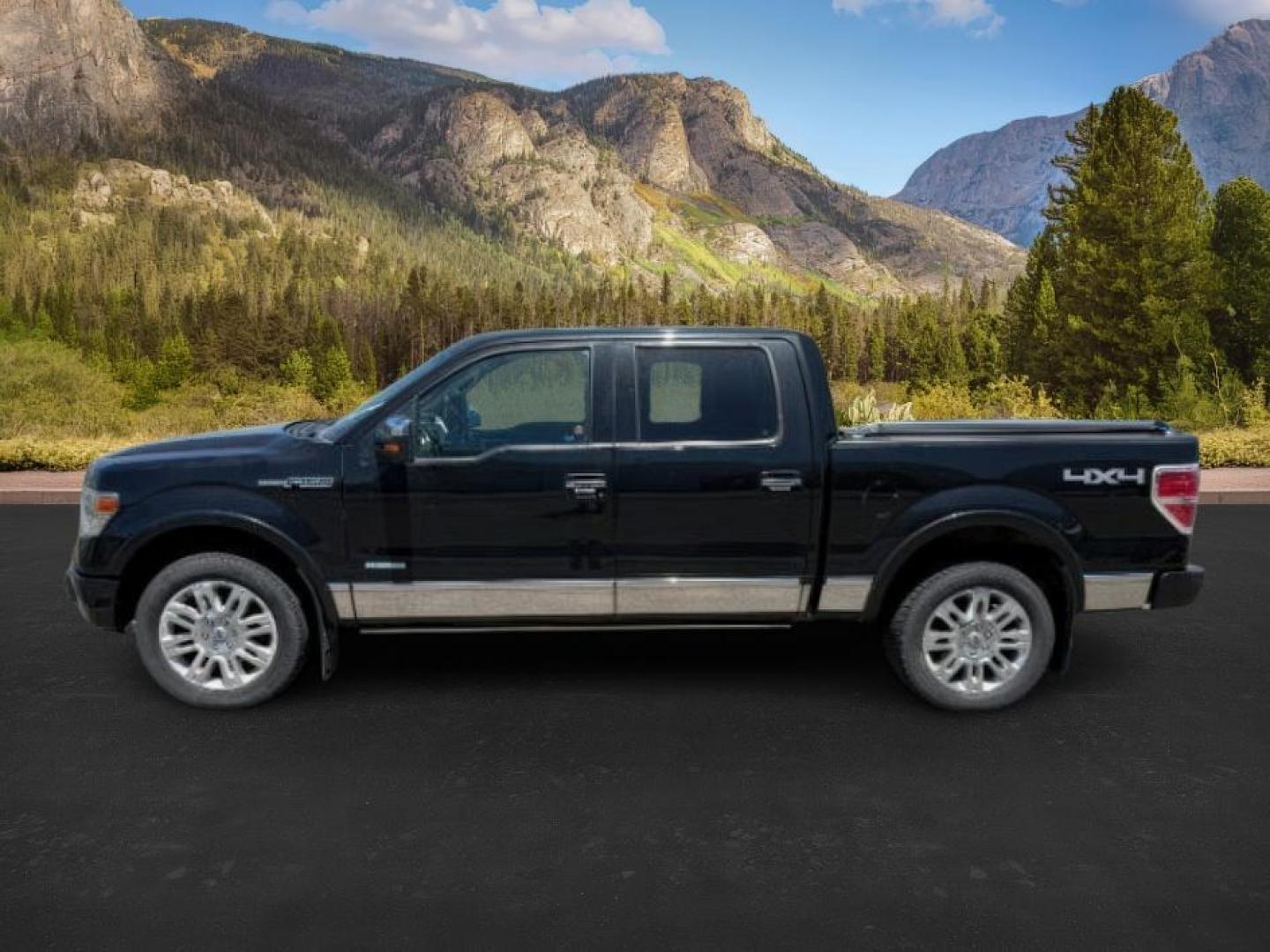 2014 BLACK /LEATHER FORD F150 PLATINUM (1FTFW1ETDEF) with an 3.5 engine, AUTOMATIC transmission, located at 1235 N Woodruff Ave., Idaho Falls, 83401, (208) 523-1053, 43.507172, -112.000488 - At Timberline Auto, finding a great deal on your next vehicle is always easy! Our experienced sales staff's goal is to help find you the right vehicle at the right price! Our knowledgeable finance department has options for almost any credit score. We offer extended service contract options to prote - Photo#1