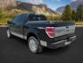 2014 BLACK /LEATHER FORD F150 PLATINUM (1FTFW1ETDEF) with an 3.5 engine, AUTOMATIC transmission, located at 1235 N Woodruff Ave., Idaho Falls, 83401, (208) 523-1053, 43.507172, -112.000488 - At Timberline Auto, finding a great deal on your next vehicle is always easy! Our experienced sales staff's goal is to help find you the right vehicle at the right price! Our knowledgeable finance department has options for almost any credit score. We offer extended service contract options to prote - Photo#2