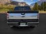 2014 BLACK /LEATHER FORD F150 PLATINUM (1FTFW1ETDEF) with an 3.5 engine, AUTOMATIC transmission, located at 1235 N Woodruff Ave., Idaho Falls, 83401, (208) 523-1053, 43.507172, -112.000488 - At Timberline Auto, finding a great deal on your next vehicle is always easy! Our experienced sales staff's goal is to help find you the right vehicle at the right price! Our knowledgeable finance department has options for almost any credit score. We offer extended service contract options to prote - Photo#3