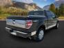2014 BLACK /LEATHER FORD F150 PLATINUM (1FTFW1ETDEF) with an 3.5 engine, AUTOMATIC transmission, located at 1235 N Woodruff Ave., Idaho Falls, 83401, (208) 523-1053, 43.507172, -112.000488 - At Timberline Auto, finding a great deal on your next vehicle is always easy! Our experienced sales staff's goal is to help find you the right vehicle at the right price! Our knowledgeable finance department has options for almost any credit score. We offer extended service contract options to prote - Photo#5