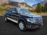 2014 BLACK /LEATHER FORD F150 PLATINUM (1FTFW1ETDEF) with an 3.5 engine, AUTOMATIC transmission, located at 1235 N Woodruff Ave., Idaho Falls, 83401, (208) 523-1053, 43.507172, -112.000488 - At Timberline Auto, finding a great deal on your next vehicle is always easy! Our experienced sales staff's goal is to help find you the right vehicle at the right price! Our knowledgeable finance department has options for almost any credit score. We offer extended service contract options to prote - Photo#7