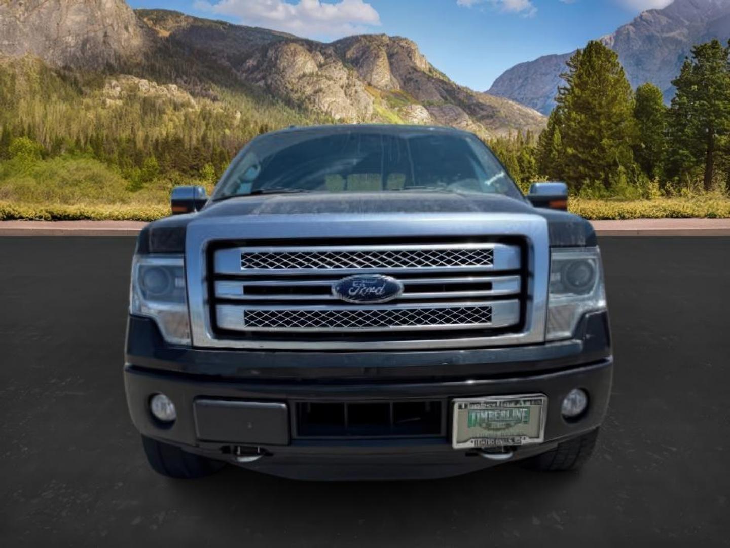 2014 BLACK /LEATHER FORD F150 PLATINUM (1FTFW1ETDEF) with an 3.5 engine, AUTOMATIC transmission, located at 1235 N Woodruff Ave., Idaho Falls, 83401, (208) 523-1053, 43.507172, -112.000488 - At Timberline Auto, finding a great deal on your next vehicle is always easy! Our experienced sales staff's goal is to help find you the right vehicle at the right price! Our knowledgeable finance department has options for almost any credit score. We offer extended service contract options to prote - Photo#8