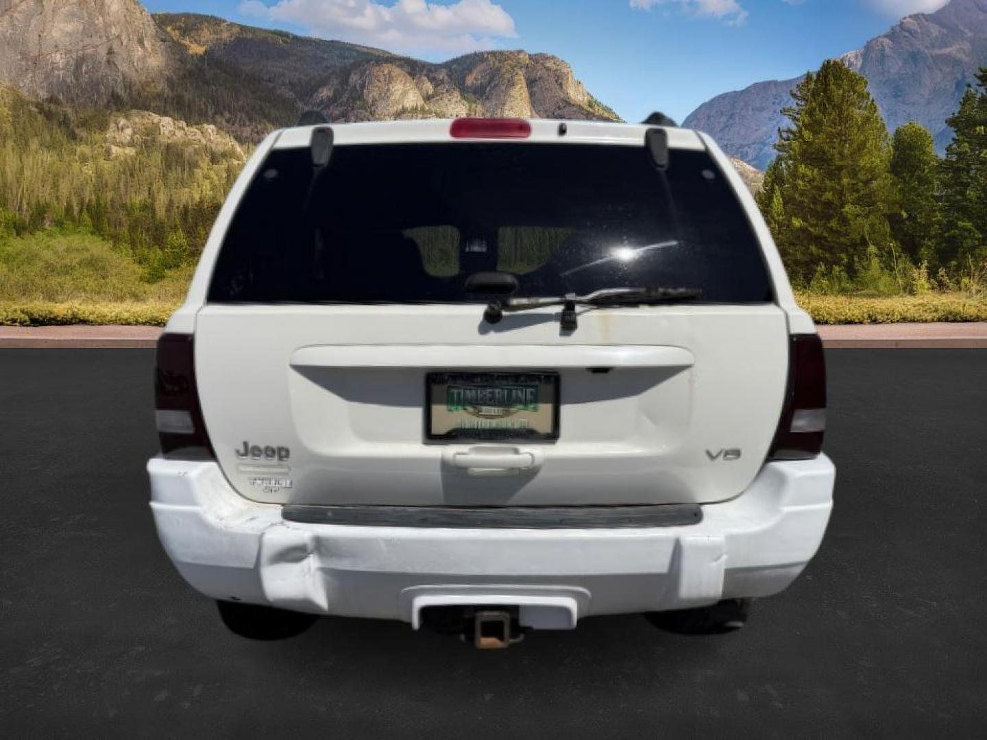 2000 Stone White Clearcoat /Camel Leather Jeep Grand Cherokee (1J4GW58N5YC) with an 47L V8 SOHC 16V engine, Automatic transmission, located at 1175 N Woodruff Ave, Idaho Falls, ID, 83401, 43.506901, -111.999657 - At Timberline Auto, finding a great deal on your next vehicle is always easy! Our experienced sales staff's goal is to help find you the right vehicle at the right price! Our knowledgeable finance department has options for almost any credit score. We offer extended service contract options to prote - Photo#3